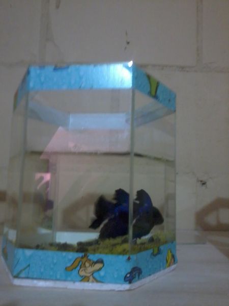 Beteira Azul